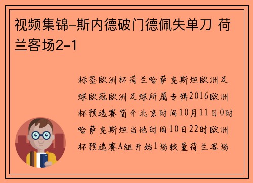 视频集锦-斯内德破门德佩失单刀 荷兰客场2-1